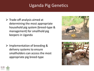ILRI’s Livestock Genetics Program - LiveGene