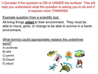 Caaspp testing review of strategies | PPT