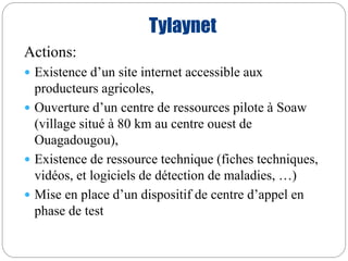 Tylaynet 
Actions: 
 Existence d’un site internet accessible aux 
producteurs agricoles, 
 Ouverture d’un centre de ressources pilote à Soaw 
(village situé à 80 km au centre ouest de 
Ouagadougou), 
 Existence de ressource technique (fiches techniques, 
vidéos, et logiciels de détection de maladies, …) 
 Mise en place d’un dispositif de centre d’appel en 
phase de test 
 