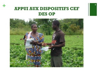 + 
APPUI AUX DISPOSITIFS CEF 
DES OP 
5 
 