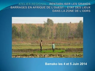 Bamako les 4 et 5 Juin 2014 
 