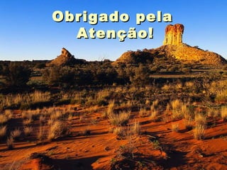 Obrigado pela  Atenção! 