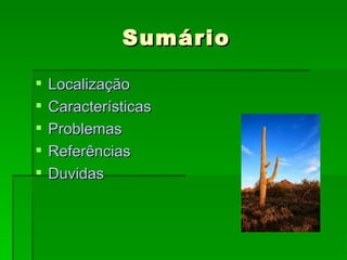 Sumário Localização Características Problemas Referências Duvidas 