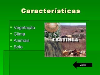 Características Vegetação Clima Animais Solo voltar 