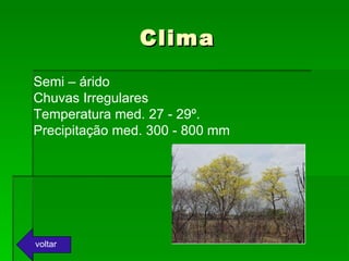 Clima Semi – árido Chuvas Irregulares Temperatura med. 27 - 29º. Precipitação med. 300 - 800 mm voltar 