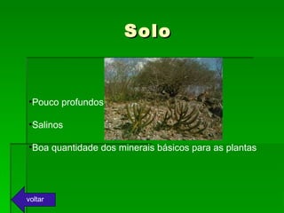 Solo Pouco profundos  Salinos Boa quantidade dos minerais básicos para as plantas voltar 