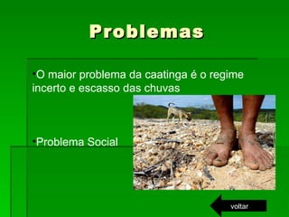 Problemas voltar O maior problema da caatinga é o regime incerto e escasso das chuvas Problema Social 