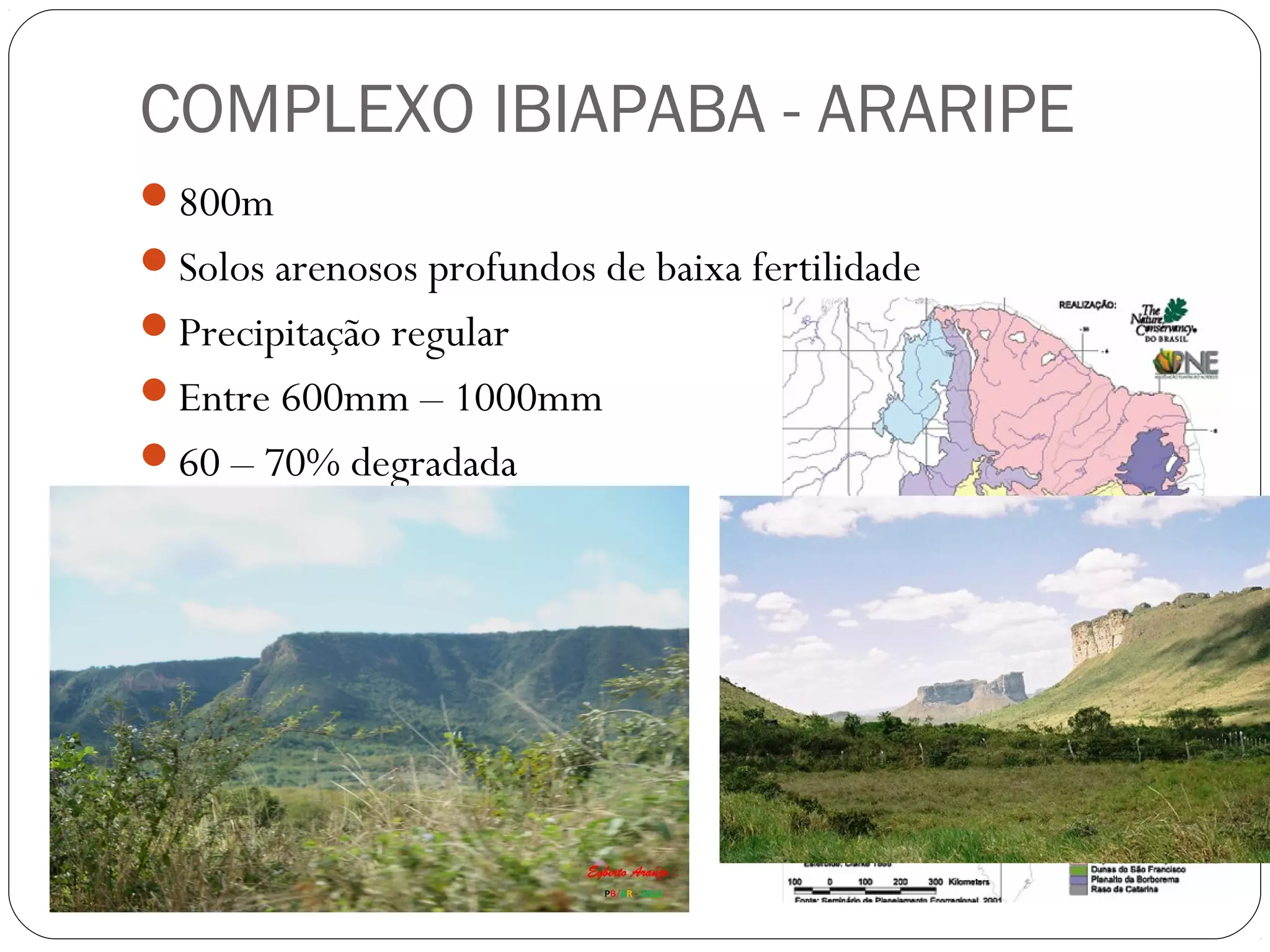 COMPLEXO IBIAPABA - ARARIPE
800m
Solos arenosos profundos de baixa fertilidade
Precipitação regular
Entre 600mm – 1000mm
60 – 70% degradada
 