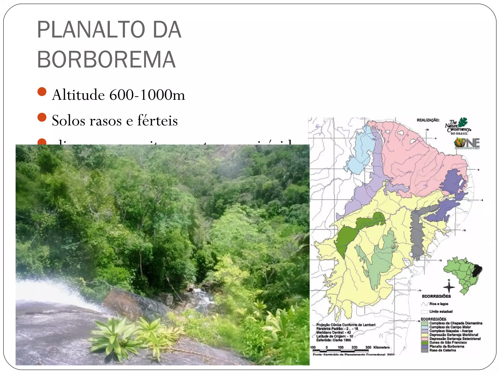 PLANALTO DA
BORBOREMA
Altitude 600-1000m
Solos rasos e férteis
clima seco, muito quente e semi-árido
Enclaves de Mata Atlântica
 