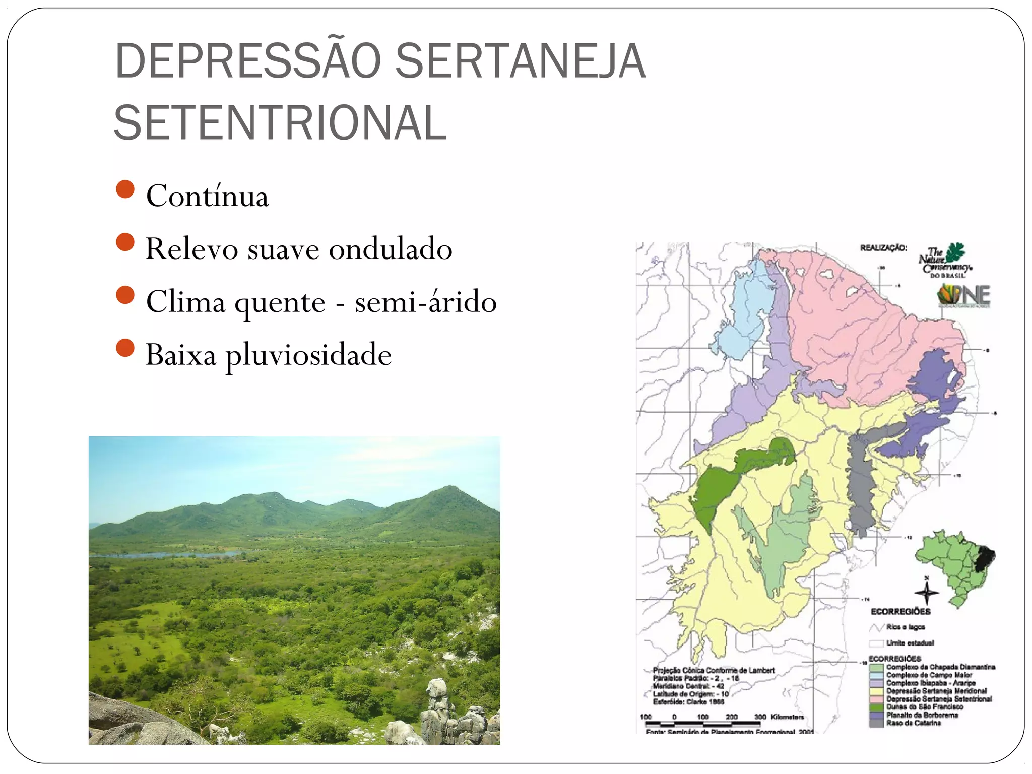 DEPRESSÃO SERTANEJA
SETENTRIONAL
Contínua
Relevo suave ondulado
Clima quente - semi-árido
Baixa pluviosidade
 