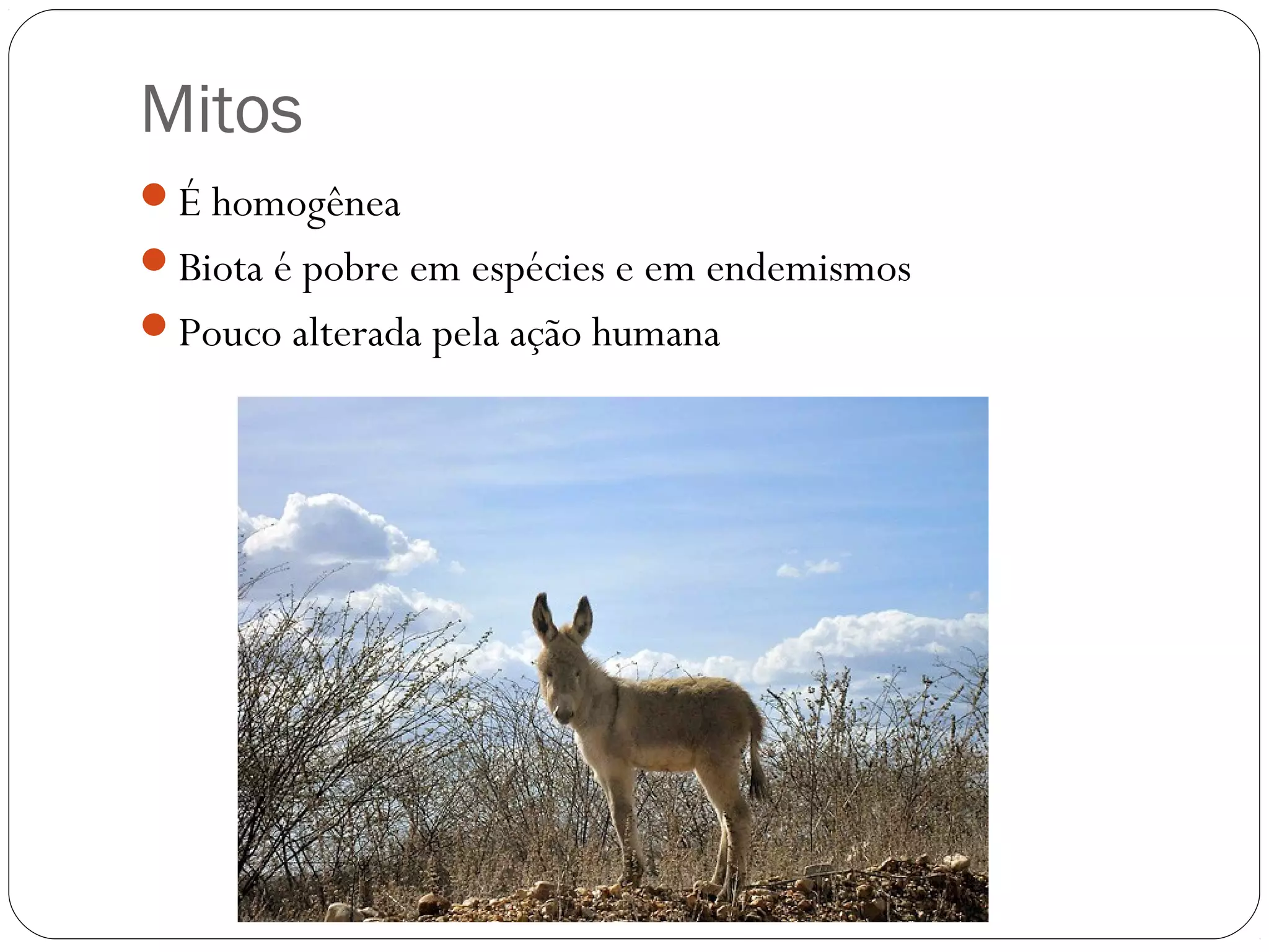 Mitos
É homogênea
Biota é pobre em espécies e em endemismos
Pouco alterada pela ação humana
 