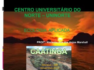 CENTRO UNIVERSITÁRIO DO
   NORTE – UNINORTE


   ECOLOGIA APLICADA

       PROFª: Nislanha Ana dos Anjos Marshall




        Manaus – AM
           Manaus –
       Novembro-2012 AM
          Novembro-2012                         1
 