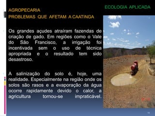 ECOLOGIA APLICADA
 AGROPECARIA
 PROBLEMAS QUE AFETAM A CAATINGA


 Os grandes açudes atraíram fazendas de
  criação de gado. Em regiões como o Vale
  do São Francisco, a irrigação foi
  incentivada sem o uso de técnica
  apropriada e o resultado tem sido
  desastroso.


 A   salinização do solo é, hoje, uma
  realidade. Especialmente na região onde os
  solos são rasos e a evaporação da água
  ocorre rapidamente devido o calor, a
  agricultura     tornou-se     impraticável.


                                                               11
 