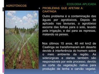 ECOLOGIA APLICADA
AGROTÓXICOS
               PROBLEMAS QUE AFETAM A
                CAATINGA
                Outro problema é a contaminação das
                águas por agrotóxicos. Depois de
                aplicado nas lavouras, o agrotóxico
                escorre das folhas para o solo, levado
                pela irrigação, e daí para as represas,
                matando os peixes.


               Nos últimos 15 anos, 40 mil km2 de
               Caatinga se transformaram em deserto
               devido à interferência do homem sobre
               o meio ambiente da região. As
               siderúrgicas e olarias também são
               responsáveis por este processo, devido
               ao corte da vegetação nativa para
               produção de lenha e carvão vegetal.
                                                     12
 