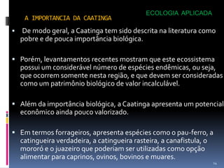ECOLOGIA APLICADA
     A IMPORTANCIA DA CAATINGA
   De modo geral, a Caatinga tem sido descrita na literatura como
    pobre e de pouca importância biológica.

 Porém, levantamentos recentes mostram que este ecossistema
    possui um considerável número de espécies endêmicas, ou seja,
    que ocorrem somente nesta região, e que devem ser consideradas
    como um patrimônio biológico de valor incalculável.

 Além da importância biológica, a Caatinga apresenta um potencial
    econômico ainda pouco valorizado.

 Em termos forrageiros, apresenta espécies como o pau-ferro, a
    catingueira verdadeira, a catingueira rasteira, a canafistula, o
    mororó e o juazeiro que poderiam ser utilizadas como opção
    alimentar para caprinos, ovinos, bovinos e muares.
                                                                       14
 
