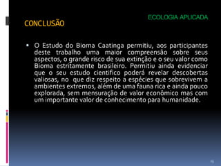 ECOLOGIA APLICADA
CONCLUSÃO

 O Estudo do Bioma Caatinga permitiu, aos participantes
  deste trabalho uma maior compreensão sobre seus
  aspectos, o grande risco de sua extinção e o seu valor como
  Bioma estritamente brasileiro. Permitiu ainda evidenciar
  que o seu estudo cientifico poderá revelar descobertas
  valiosas, no que diz respeito a espécies que sobrevivem a
  ambientes extremos, além de uma fauna rica e ainda pouco
  explorada, sem mensuração de valor econômico mas com
  um importante valor de conhecimento para humanidade.




                                                                15
 