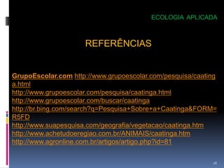 ECOLOGIA APLICADA



                     REFERÊNCIAS


GrupoEscolar.com:http://www.grupoescolar.com/pesquisa/caating
a.html
http://www.grupoescolar.com/pesquisa/caatinga.html
http://www.grupoescolar.com/buscar/caatinga
http://br.bing.com/search?q=Pesquisa+Sobre+a+Caatinga&FORM=
R5FD
http://www.suapesquisa.com/geografia/vegetacao/caatinga.htm
http://www.achetudoeregiao.com.br/ANIMAIS/caatinga.htm
http://www.agronline.com.br/artigos/artigo.php?id=81

                                                           16
 
