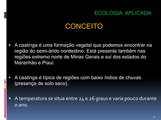 ECOLOGIA APLICADA

                         CONCEITO

 A caatinga é uma formação vegetal que podemos encontrar na
  região do semi-árido nordestino. Está presente também nas
  regiões extremo norte de Minas Gerais e sul dos estados do
  Maranhão e Piauí.


 A caatinga é típica de regiões com baixo índice de chuvas
  (presença de solo seco).


 A temperatura se situa entre 24 e 26 graus e varia pouco durante
  o ano.

                                                                4
 