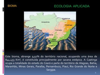 BIOMA                                  ECOLOGIA APLICADA




Este bioma, abrange 9,92% do território nacional, ocupando uma área de
844.453 Km², é constituída principalmente por savana estépica. A Caatinga
ocupa a totalidade do estado do Ceará e parte do território de Alagoas, Bahia,
Maranhão, Minas Gerais, Paraíba, Pernambuco, Piauí, Rio Grande do Norte e
                                  Sergipe.
                                                                            6
 