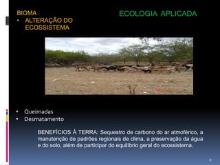 BIOMA                                ECOLOGIA APLICADA
• ALTERAÇÃO DO
   ECOSSISTEMA




• Queimadas
• Desmatamento

      BENEFÍCIOS À TERRA: Sequestro de carbono do ar atmoférico, a
      manutenção de padrões regionais de clima, a preservação da água
      e do solo, além de participar do equilíbrio geral do ecossistema.

                                                                          8
 