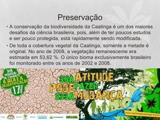 Preservação
• A conservação da biodiversidade da Caatinga é um dos maiores
desafios da ciência brasileira, pois, além de ter poucos estudos
e ser pouco protegida, está rapidamente sendo modificada.
• De toda a cobertura vegetal da Caatinga, somente a metade é
original. No ano de 2008, a vegetação remanescente era
estimada em 53,62 %. O único bioma exclusivamente brasileiro
foi monitorado entre os anos de 2002 e 2008.
 
