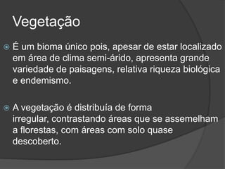 Vegetação
 É um bioma único pois, apesar de estar localizado
em área de clima semi-árido, apresenta grande
variedade de paisagens, relativa riqueza biológica
e endemismo.
 A vegetação é distribuía de forma
irregular, contrastando áreas que se assemelham
a florestas, com áreas com solo quase
descoberto.
 
