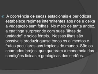  A ocorrência de secas estacionais e periódicas
estabelece regimes intermitentes aos rios e deixa
a vegetação sem folhas. No meio de tanta aridez,
a caatinga surpreende com suas "ilhas de
umidade" e solos férteis. Nessas ilhas são
possíveis produzir quase todos os alimentos e
frutas peculiares aos trópicos do mundo. São os
chamados brejos, que quebram a monotonia das
condições físicas e geológicas dos sertões.
 