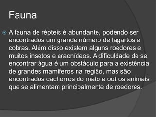 Fauna
 A fauna de répteis é abundante, podendo ser
encontrados um grande número de lagartos e
cobras. Além disso existem alguns roedores e
muitos insetos e aracnídeos. A dificuldade de se
encontrar água é um obstáculo para a existência
de grandes mamíferos na região, mas são
encontrados cachorros do mato e outros animais
que se alimentam principalmente de roedores.
 