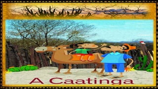 Caatinga

 