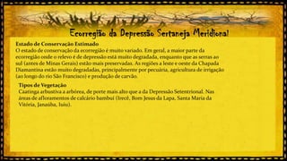 Ecorregião da Depressão Sertaneja Meridional
Estado de Conservação Estimado
O estado de conservação da ecorregião é muito variado. Em geral, a maior parte da
ecorregião onde o relevo é de depressão está muito degradada, enquanto que as serras ao
sul (antes de Minas Gerais) estão mais preservadas. As regiões a leste e oeste da Chapada
Diamantina estão muito degradadas, principalmente por pecuária, agricultura de irrigação
(ao longo do rio São Francisco) e produção de carvão.
Tipos de Vegetação
Caatinga arbustiva a arbórea, de porte mais alto que a da Depressão Setentrional. Nas
áreas de afloramentos de calcário bambuí (Irecê, Bom Jesus da Lapa, Santa Maria da
Vitória, Janaúba, Iuiu).

 