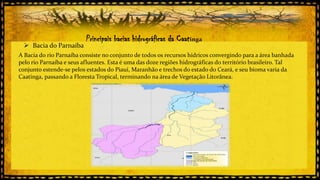  Bacia do Parnaíba

Principais bacias hidrográficas da Caatinga

A Bacia do rio Parnaíba consiste no conjunto de todos os recursos hídricos convergindo para a área banhada
pelo rio Parnaíba e seus afluentes. Esta é uma das doze regiões hidrográficas do território brasileiro. Tal
conjunto estende-se pelos estados do Piauí, Maranhão e trechos do estado do Ceará, e seu bioma varia da
Caatinga, passando a Floresta Tropical, terminando na área de Vegetação Litorânea.

 