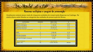 Reservas ecológicas e parques de preservação
Atualmente existem pouco mais de cinquenta unidades de conservação dispersas na Caatinga. Na
tabela abaixo estão listadas as categorias das unidades de preservação do Bioma.

 