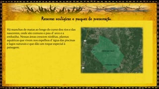 Reservas ecológicas e parques de preservação
Há manchas de matas ao longo do curso dos rios e das
nascentes, onde são comuns o pau-d`arco e a
embaúba. Nessas áreas crescem ninféias, plantas
aquáticas que vivem nos espelhos d`água das piscinas
e lagos naturais e que dão um toque especial à
paisagem.

 