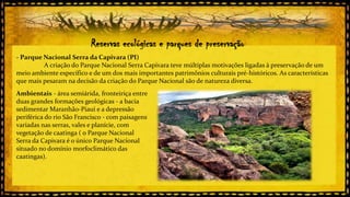 Reservas ecológicas e parques de preservação
- Parque Nacional Serra da Capivara (PI)
A criação do Parque Nacional Serra Capivara teve múltiplas motivações ligadas à preservação de um
meio ambiente específico e de um dos mais importantes patrimônios culturais pré-históricos. As características
que mais pesaram na decisão da criação do Parque Nacional são de natureza diversa.
Ambientais - área semiárida, fronteiriça entre
duas grandes formações geológicas - a bacia
sedimentar Maranhão-Piauí e a depressão
periférica do rio São Francisco - com paisagens
variadas nas serras, vales e planície, com
vegetação de caatinga ( o Parque Nacional
Serra da Capivara é o único Parque Nacional
situado no domínio morfoclimático das
caatingas).

 