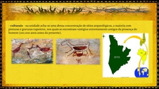 - culturais - na unidade acha-se uma densa concentração de sítios arqueológicos, a maioria com
pinturas e gravuras rupestres, nos quais se encontram vestígios extremamente antigos da presença do
homem (100.000 anos antes do presente).

 