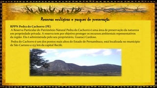 Reservas ecológicas e parques de preservação
RPPN Pedra do Cachorro (PE)
A Reserva Particular do Patrimônio Natural Pedra do Cachorro é uma área de preservação da natureza
em propriedade privada. A reserva tem por objetivo proteger os recursos ambientais representativos
da região. Ela é administrada pelo seu proprietário, Guaraci Cardoso.
Pedra do Cachorro é um dos pontos mais altos do Estado de Pernambuco, está localizada no município
de São Caetano a 153 km da capital Recife.

 