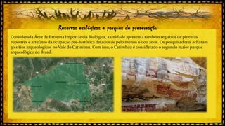 Reservas ecológicas e parques de preservação
Considerada Área de Extrema Importância Biológica, a unidade apresenta também registros de pinturas
rupestres e artefatos da ocupação pré-histórica datados de pelo menos 6 000 anos. Os pesquisadores acharam
30 sítios arqueológicos no Vale do Catimbau. Com isso, o Catimbau é considerado o segundo maior parque
arqueológico do Brasil.

 