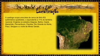 Localização
A caatinga ocupa uma área de cerca de 844.453
quilômetros quadrados, o equivalente a 11% do território
nacional. Engloba os estados Alagoas, Bahia, Ceará,
Maranhão, Pernambuco, Paraíba, Rio Grande do Norte,
Piauí, Sergipe e o norte de Minas Gerais.

 