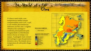 Clima
O clima é semi-árido, com
temperaturas médias anuais
compreendidas entre 27ºC e 29ºC
e com médias pluviométricas
inferiores aos 800 mm. A rigidez
climática das caatingas é
conferida principalmente pela
irregularidade na distribuição
destas chuvas no tempo e no
espaço. A paisagem mais comum
da Caatinga é a que ela apresenta
durante a seca. Na estação seca a
temperatura do solo pode chegar
até 60°C.

 