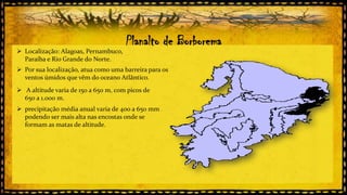  Localização: Alagoas, Pernambuco,
Paraíba e Rio Grande do Norte.

Planalto de Borborema

 Por sua localização, atua como uma barreira para os
ventos úmidos que vêm do oceano Atlântico.
 A altitude varia de 150 a 650 m, com picos de
650 a 1.000 m.

 precipitação média anual varia de 400 a 650 mm
podendo ser mais alta nas encostas onde se
formam as matas de altitude.

 