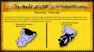 Depressão Sertaneja
A paisagem da Depressão Sertaneja é típica da região semiárida do Nordeste. Apresenta-se em pedi plano com
relevo monótono, suave-ondulado, com vales estreitos e vertentes dissecadas. As altitudes variam de 20 a 500 m.
Possui ainda elevações residuais com altitudes de 500 a 800 m.
 depressão Sertaneja
 Depressão Sertaneja
Setentrional.
Meridional.

 