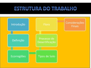 Introdução
Definição
Ecorregiões Tipos de Solo
Processo de
Desertificação
Flora
Considerações
Finais
 