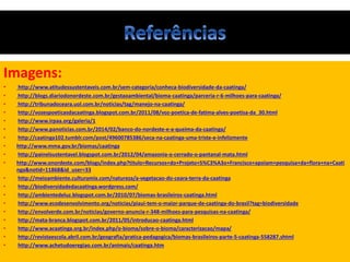 Imagens:
• http://www.atitudessustentaveis.com.br/sem-categoria/conheca-biodiversidade-da-caatinga/
• http://blogs.diariodonordeste.com.br/gestaoambiental/bioma-caatinga/parceria-r-6-milhoes-para-caatinga/
• http://tribunadoceara.uol.com.br/noticias/tag/manejo-na-caatinga/
• http://vozespoeticasdacaatinga.blogspot.com.br/2011/08/voz-poetica-de-fatima-alves-poetisa-da_30.html
• http://www.irpaa.org/galeria/1
• http://www.panoticias.com.br/2014/02/banco-do-nordeste-e-a-queima-da-caatinga/
• http://caatinga102.tumblr.com/post/49600785386/seca-na-caatinga-uma-triste-e-infelizmente
• http://www.mma.gov.br/biomas/caatinga
• http://painelsustentavel.blogspot.com.br/2012/04/amazonia-o-cerrado-o-pantanal-mata.html
• http://www.onordeste.com/blogs/index.php?titulo=Recursos+do+Projeto+S%C3%A3o+Francisco+apoiam+pesquisa+da+flora+na+Caati
nga&notid=11868&id_user=33
• http://meioambiente.culturamix.com/natureza/a-vegetacao-do-ceara-terra-da-caatinga
• http://biodiversidadedacaatinga.wordpress.com/
• http://ambientedeluz.blogspot.com.br/2010/07/biomas-brasileiros-caatinga.html
• http://www.ecodesenvolvimento.org/noticias/piaui-tem-o-maior-parque-de-caatinga-do-brasil?tag=biodiversidade
• http://envolverde.com.br/noticias/governo-anuncia-r-348-milhoes-para-pesquisas-na-caatinga/
• http://mata-branca.blogspot.com.br/2011/05/introducao-caatinga.html
• http://www.acaatinga.org.br/index.php/o-bioma/sobre-o-bioma/caracterizacao/mapa/
• http://revistaescola.abril.com.br/geografia/pratica-pedagogica/biomas-brasileiros-parte-5-caatinga-558287.shtml
• http://www.achetudoeregiao.com.br/animais/caatinga.htm
 