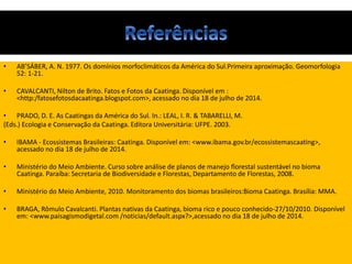 • AB’SÁBER, A. N. 1977. Os domínios morfoclimáticos da América do Sul.Primeira aproximação. Geomorfologia
52: 1-21.
• CAVALCANTI, Nilton de Brito. Fatos e Fotos da Caatinga. Disponível em :
<http:/fatosefotosdacaatinga.blogspot.com>, acessado no dia 18 de julho de 2014.
• PRADO, D. E. As Caatingas da América do Sul. In.: LEAL, I. R. & TABARELLI, M.
(Eds.) Ecologia e Conservação da Caatinga. Editora Universitária: UFPE. 2003.
• IBAMA - Ecossistemas Brasileiras: Caatinga. Disponível em: <www.ibama.gov.br/ecossistemascaating>,
acessado no dia 18 de julho de 2014.
• Ministério do Meio Ambiente. Curso sobre análise de planos de manejo florestal sustentável no bioma
Caatinga. Paraíba: Secretaria de Biodiversidade e Florestas, Departamento de Florestas, 2008.
• Ministério do Meio Ambiente, 2010. Monitoramento dos biomas brasileiros:Bioma Caatinga. Brasília: MMA.
• BRAGA, Rômulo Cavalcanti. Plantas nativas da Caatinga, bioma rico e pouco conhecido-27/10/2010. Disponível
em: <www.paisagismodigetal.com /noticias/default.aspx?>,acessado no dia 18 de julho de 2014.
 