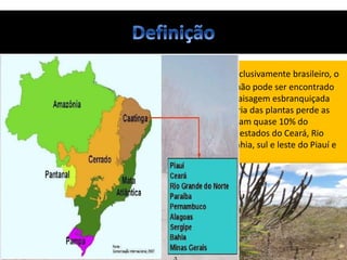 • Caatinga (do tupi: mata branca) é o único bioma exclusivamente brasileiro, o
que significa que grande parte do seu patrimônio biológico não pode ser encontrado
em nenhum outro lugar do planeta. Este nome decorre da paisagem esbranquiçada
apresentada pela vegetação durante o período seco: a maioria das plantas perde as
folhas e os troncos tornam-se esbranquiçados e secos. Ocupam quase 10% do
território nacional, com 736.833 km², a Caatinga abrange os estados do Ceará, Rio
Grande do Norte, Paraíba, Pernambuco, Sergipe, Alagoas, Bahia, sul e leste do Piauí e
norte de Minas Gerais.
 