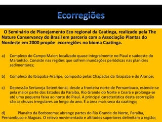 O Seminário de Planejamento Eco regional da Caatinga, realizado pela The
Nature Conservancy do Brasil em parceria com a Associação Plantas do
Nordeste em 2000 propõe ecorregiões no bioma Caatinga.
a) Complexo do Campo Maior: localizado quase integralmente no Piauí e sudoeste do
Maranhão. Consiste nas regiões que sofrem inundações periódicas nas planícies
sedimentares;
b) Complexo do Ibiapaba-Araripe, composto pelas Chapadas da Ibiapaba e do Araripe;
c) Depressão Sertaneja Setentrional, desde a fronteira norte de Pernambuco, estende-se
pela maior parte dos Estados da Paraíba, Rio Grande do Norte e Ceará e prolonga-se
até uma pequena faixa ao norte do Piauí. A principal característica desta ecorregião
são as chuvas irregulares ao longo do ano. É a área mais seca da caatinga;
d) Planalto da Borborema: abrange partes do Rio Grande do Norte, Paraíba,
Pernambuco e Alagoas. O relevo movimentado e altitudes superiores delimitam a região;
 