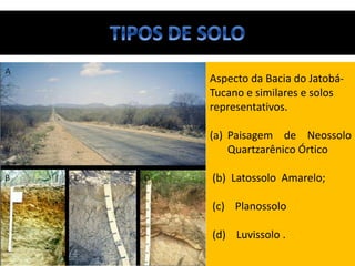 • Aspecto da Bacia do Jatobá-
Tucano e similares e solos
representativos.
(a) Paisagem de Neossolo
Quartzarênico Órtico
(b) Latossolo Amarelo;
(c) Planossolo
(d) Luvissolo .
 