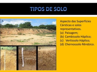 Aspecto das Superfícies
Cársticas e solos
representativos.
(a) Paisagem;
(b) Cambissolo Háplico;
(c) Vertissolo Háplico;
(d) Chernossolo Rêndzico.
 