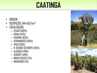 • ORIGEM
• OCUPAÇÃO: 844.453 km²
• LOCALIZAÇÃO:
– CEARÁ (100%)
– BAHIA (54%)
– PARAÍBA (92%)
– PERNAMBUCO (83%)
– PIAUÍ (63%)
– R. GRANDE DO NORTE (95%)
– ALAGOAS (48%)
– SERGIPE (49%)
– MINAS GERAIS (2%)
– MARANHÃO (1%)
CAATINGACAATINGA
 