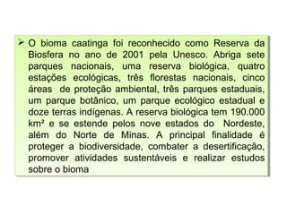  O bioma caatinga foi reconhecido como Reserva da
Biosfera no ano de 2001 pela Unesco. Abriga sete
parques nacionais, uma reserva biológica, quatro
estações ecológicas, três florestas nacionais, cinco
áreas de proteção ambiental, três parques estaduais,
um parque botânico, um parque ecológico estadual e
doze terras indígenas. A reserva biológica tem 190.000
km² e se estende pelos nove estados do Nordeste,
além do Norte de Minas. A principal finalidade é
proteger a biodiversidade, combater a desertificação,
promover atividades sustentáveis e realizar estudos
sobre o bioma
 O bioma caatinga foi reconhecido como Reserva da
Biosfera no ano de 2001 pela Unesco. Abriga sete
parques nacionais, uma reserva biológica, quatro
estações ecológicas, três florestas nacionais, cinco
áreas de proteção ambiental, três parques estaduais,
um parque botânico, um parque ecológico estadual e
doze terras indígenas. A reserva biológica tem 190.000
km² e se estende pelos nove estados do Nordeste,
além do Norte de Minas. A principal finalidade é
proteger a biodiversidade, combater a desertificação,
promover atividades sustentáveis e realizar estudos
sobre o bioma
 
